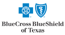 Blue Cross Blue Shield